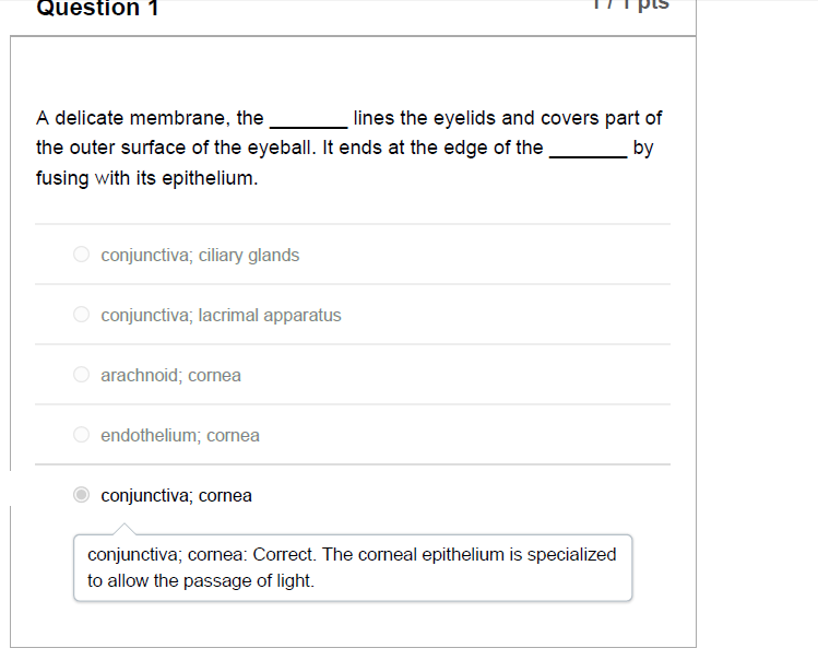 module 8 graded exam